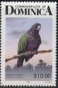 Imperial Parrot (Amazona imperialis)