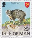 Manx Cat (Felis silvestris catus)