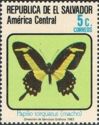 Torquatus Swallowtail (Papilio torquatus)