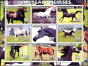 Arabian Horses