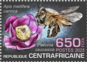 Apis mellifera carnica, Paeonia caucasica