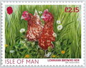 Lohmann Browns Hen