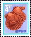 Noble Scallop (Chlamys Nobilis)