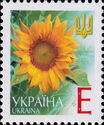 Sunflower (Helianthus annuus)