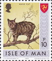 Manx Cat (Felis silvestris catus)