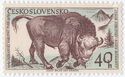 European Bison (Bison bonasus)