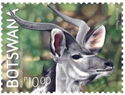 Antelopes of Botswana