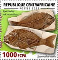 Sparnodus ovalis