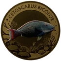 3,000 CFA Francs (Coral Reef Fishes - Bicolor Parrotfish)