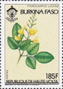 Pterocarpus lucens overprinted “BURKINA FASO”