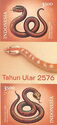 Year of the Snake 2025