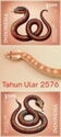 Year of the Snake 2025