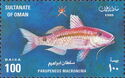 Longbarbel Goatfish (Parupeneus macronema)