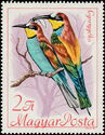 European Bee-Eater (Merops apiaster)
