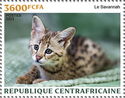 Savannah Cat