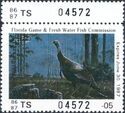 Wild turkey (Meleagris gallopavo)