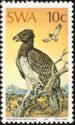 Martial Eagle (Polemaetus bellicosus)