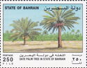 Palm grove