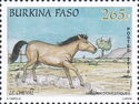 Horse (Equus ferus caballus)