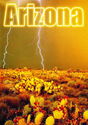 Arizona