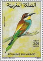 European Bee-eater (Merops apiaster)