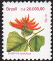 Erythrina speciosa