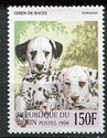 Dalmatian (Canis lupus familiaris)