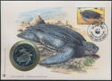 Leatherback sea turtle (Dermochelys coriacea)