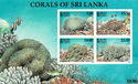 Corals