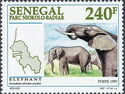 African Bush Elephant (Loxodonta africana oxyotis)