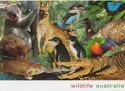 Wildlife of Australia