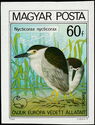 Black-crowned Night Heron (Nycticorax nycticorax)