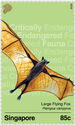 Large Flying Fox (Pteropus vampyrus)