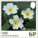 Primrose (Primula vulgaris)