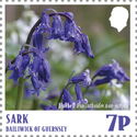 Bluebell (Hyacinthoides non-scripta)