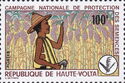 National campaingn of protection of seed