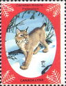 Canada Lynx