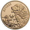 3,000 Forint (Kuvasz)