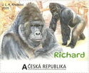 Male gorilla Richard