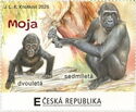 Moja, the gorilla aged two and seven