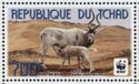 Addax (Addax nasomaculatus)