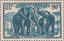 African Elephant (Loxodonta africana)