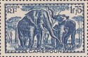 African Elephant (Loxodonta africana)