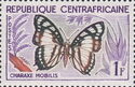 Noble White Charaxes (Charaxes nobilis)