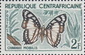 Noble White Charaxes (Charaxes nobilis)