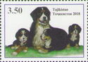 Bernese Mountain Dogs