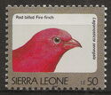 Red-billed Firefinch (Lagonosticta senegala)