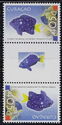 Jewel Damselfish (Microspathodon chrysurus)