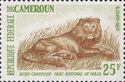 Lion (Panthera leo)