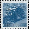 Cedar of Lebanon